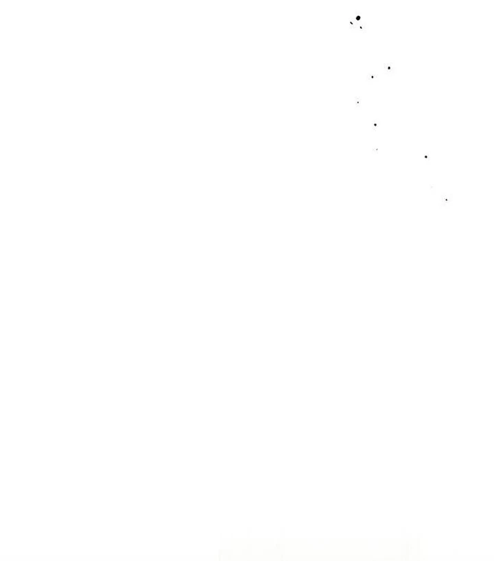 Tears on a Withered Flower Chapter 53