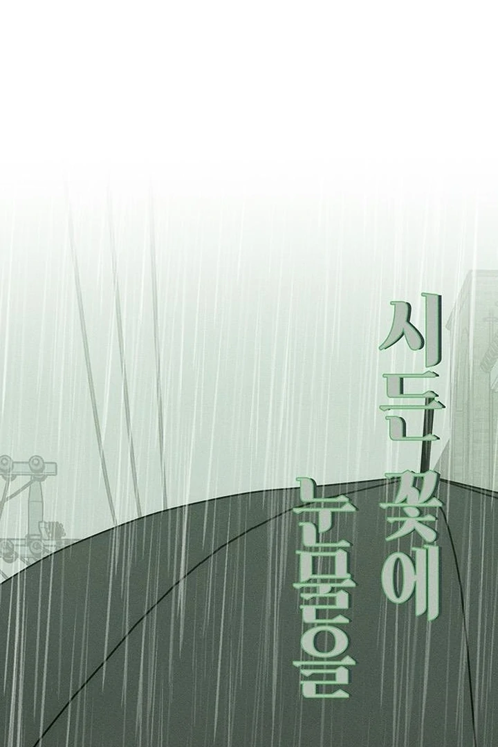 Tears on a Withered Flower Chapter 60