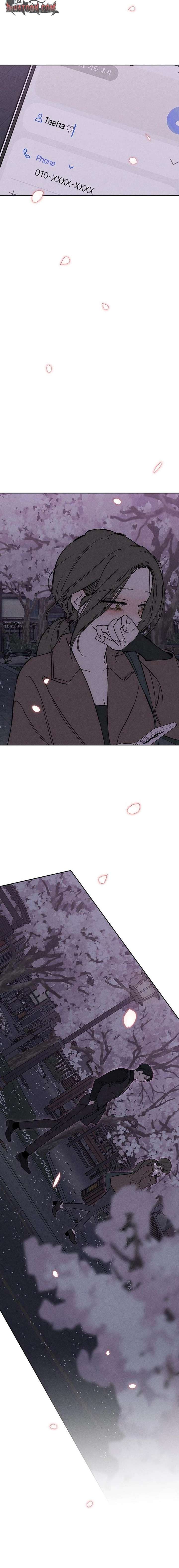 Tears on a Withered Flower Chapter 96