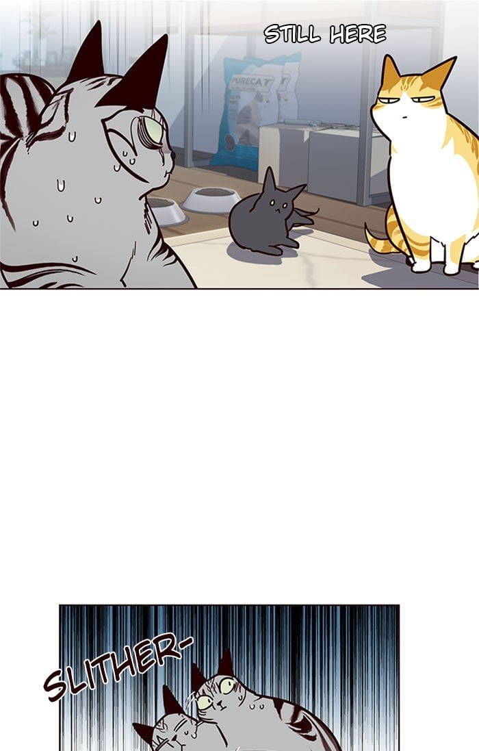Eleceed Chapter 37