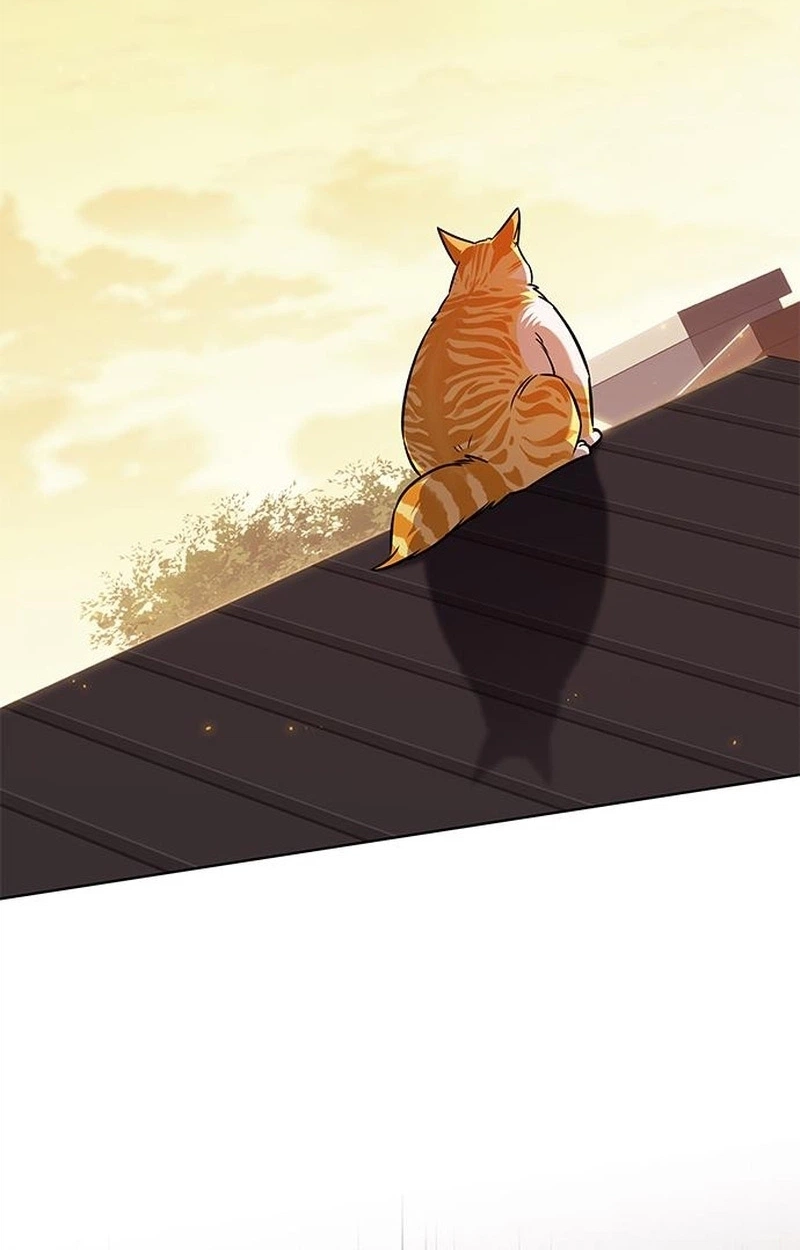 Eleceed Chapter 421