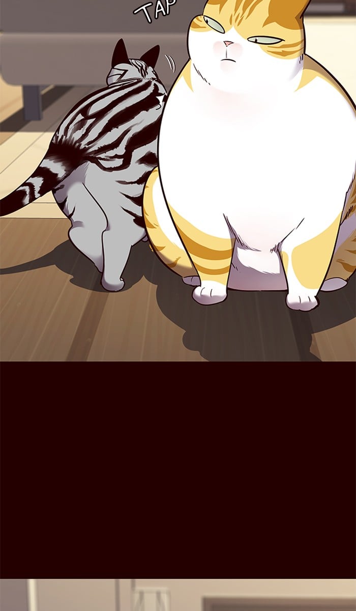 Eleceed Chapter 67