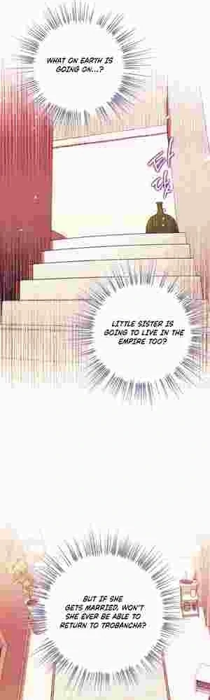 Youngest Sister-in-Law in a Tragic Reverse Harem Chapter 17