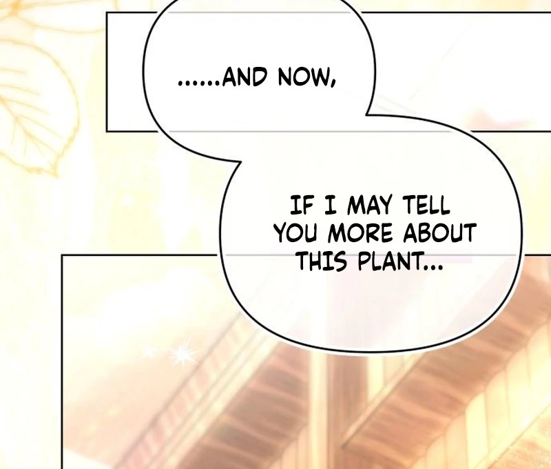 Dear My Flawless Duke Chapter 8