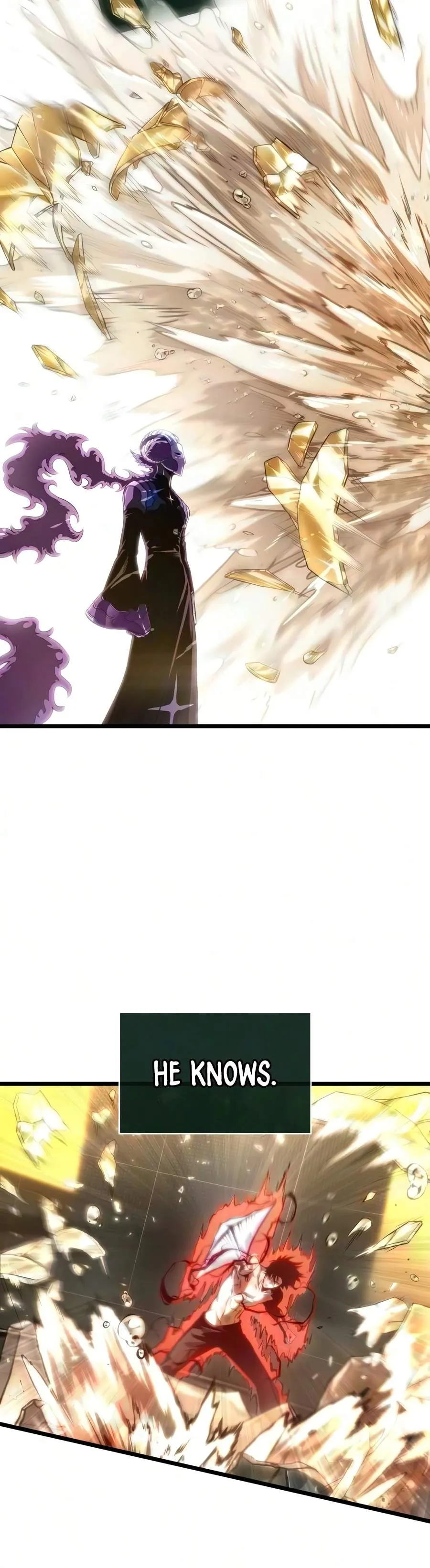The World After the Fall Chapter 241