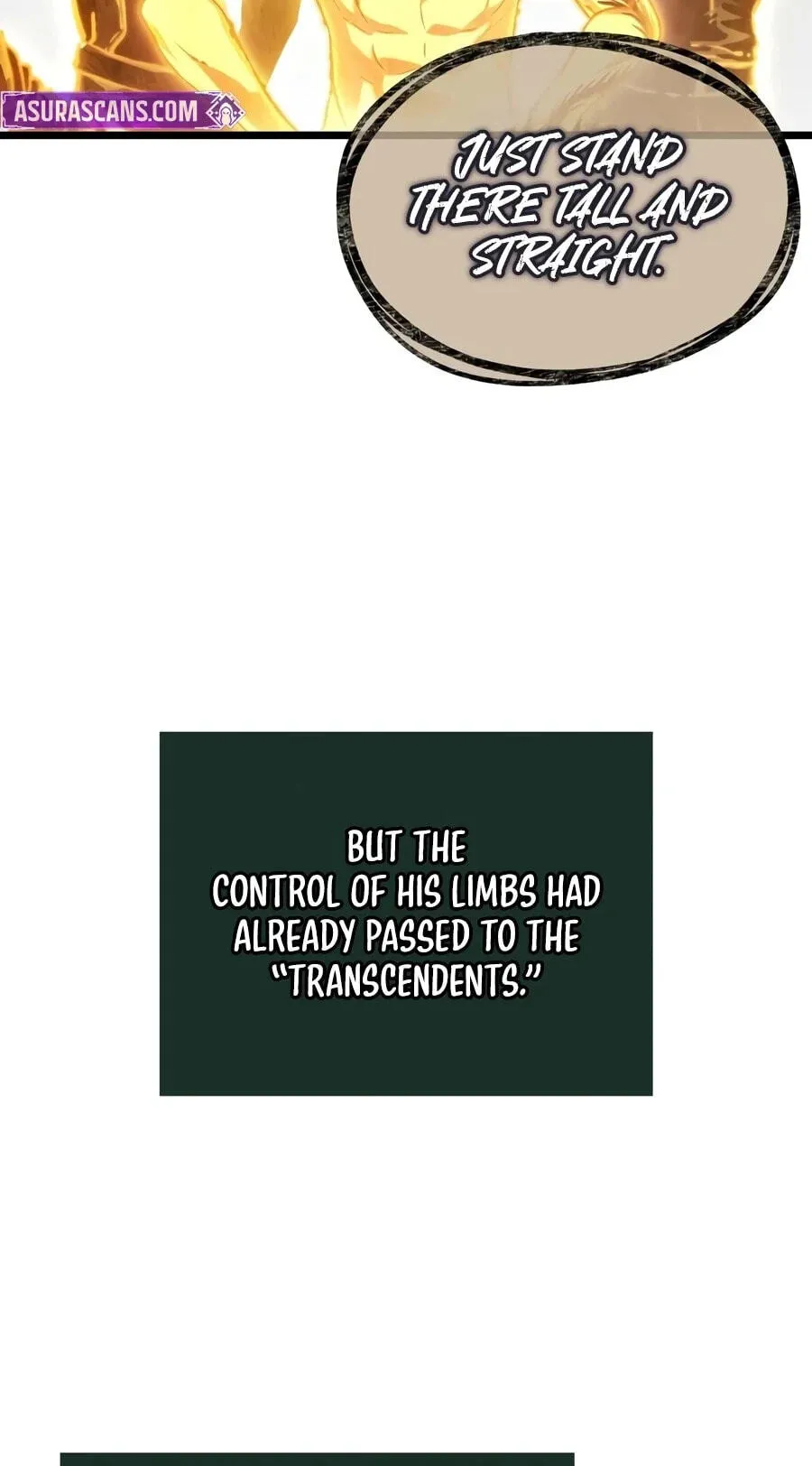 The World After the Fall Chapter 245