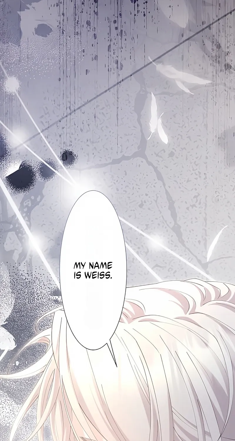 Fuguu no Hanayome wa, Utsukushiki Ryuu Ou ni Ubawareru Chapter 79