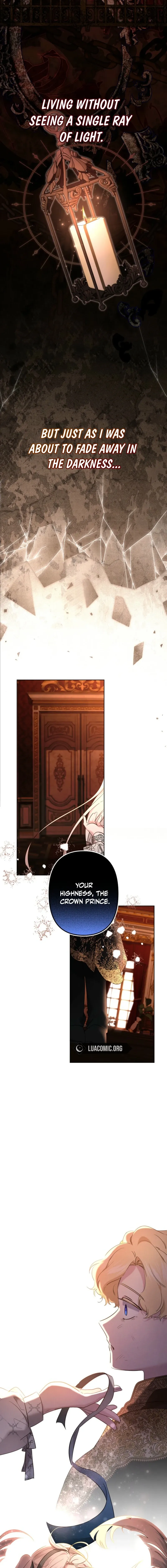 Sistervention Chapter 141